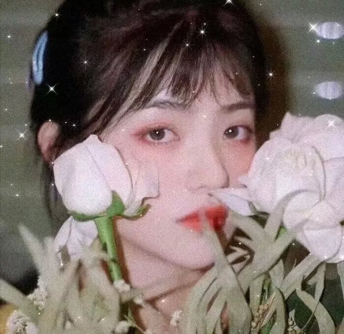 月球谋杀案